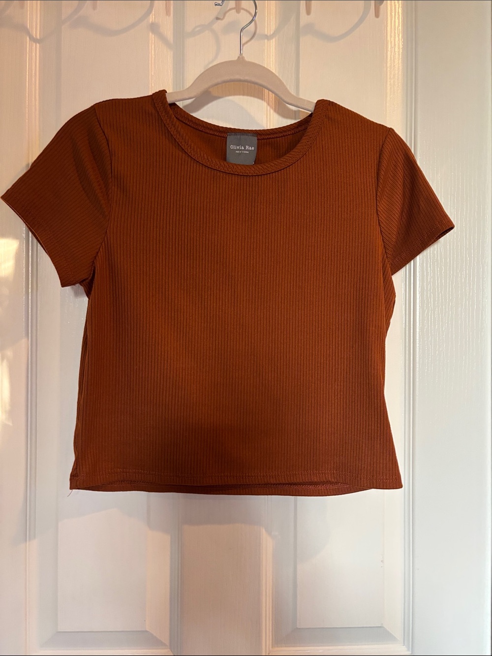 Olivia Rae Ribbed Short Sleeve Crop Top - Rust Brown